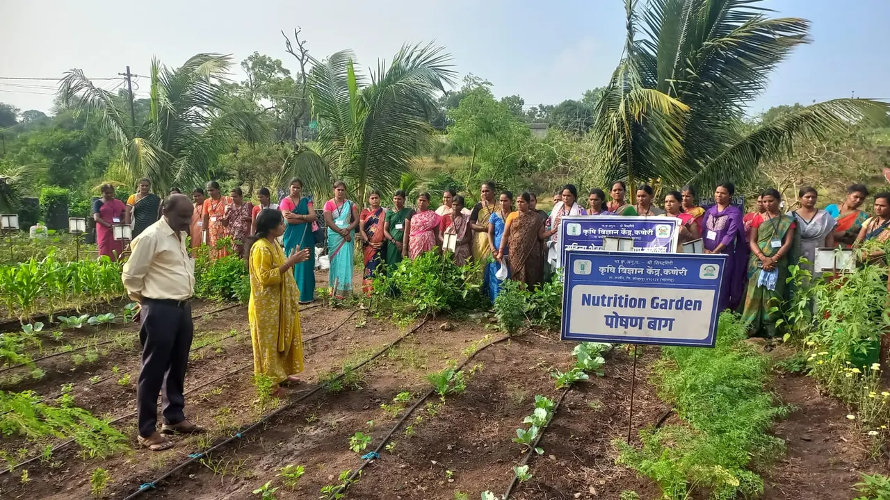Women farmers at a nutrition garden during a training programme